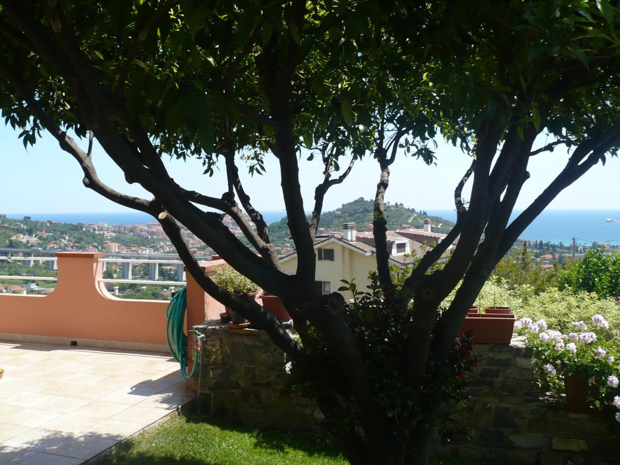 Azienda Agrituristica Villa Arianna إمبيريا المظهر الخارجي الصورة