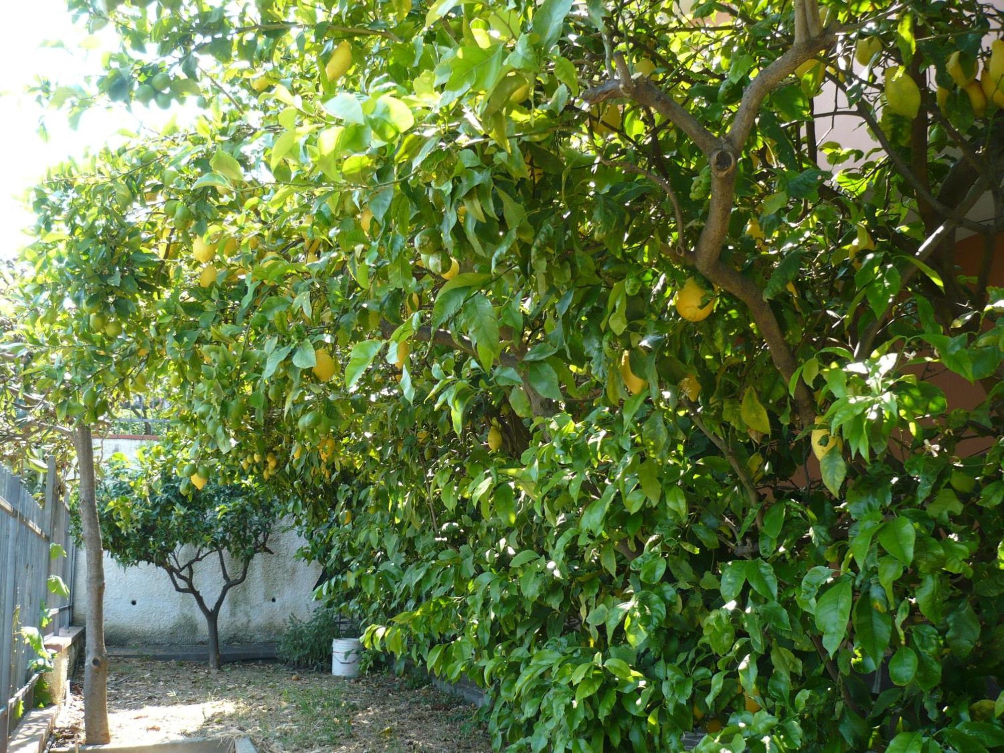 Azienda Agrituristica Villa Arianna إمبيريا المظهر الخارجي الصورة