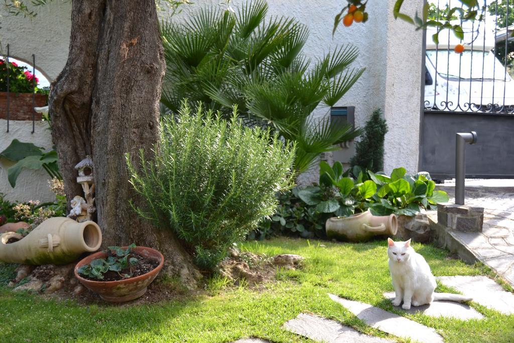 Azienda Agrituristica Villa Arianna إمبيريا المظهر الخارجي الصورة