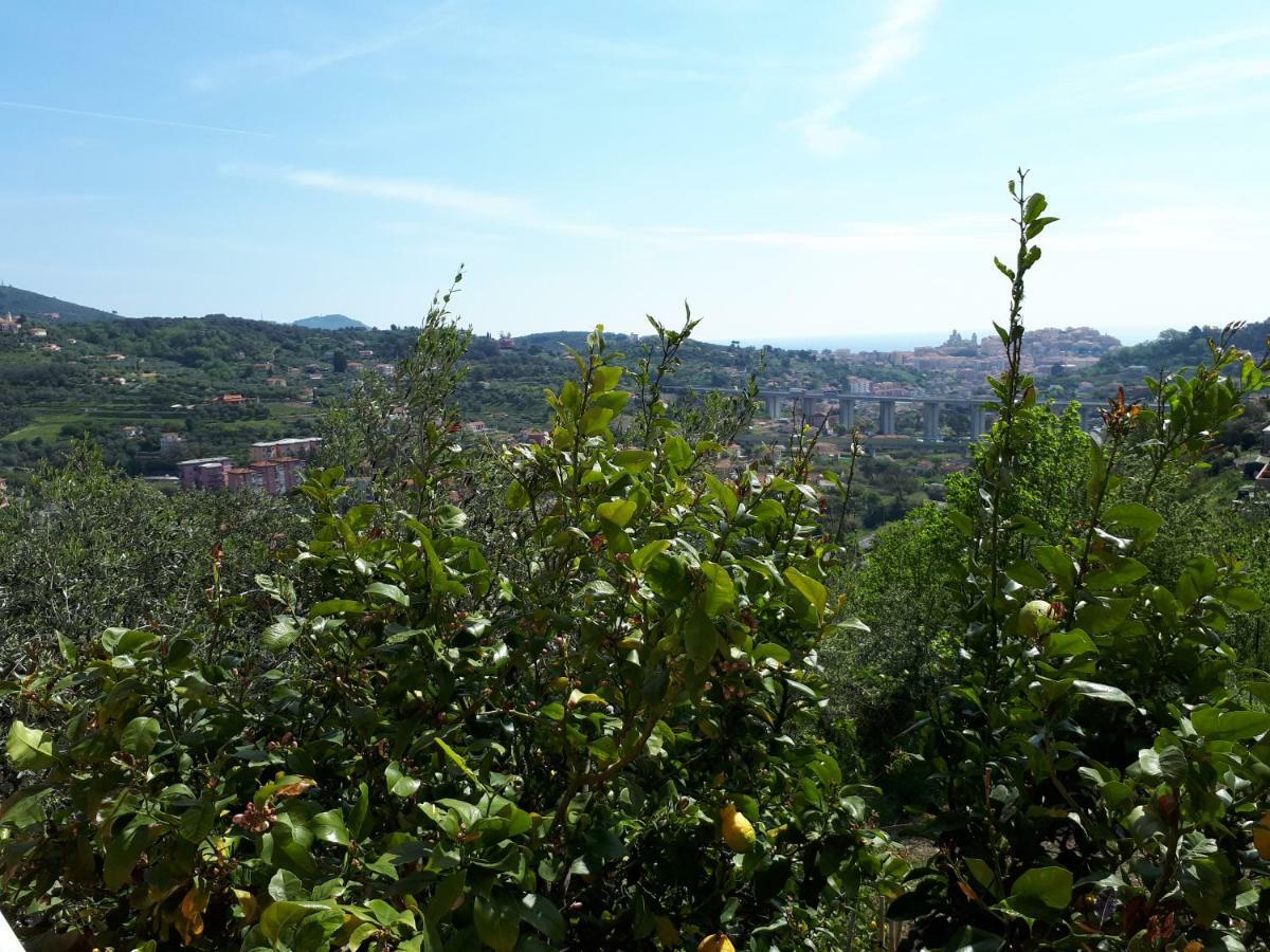 Azienda Agrituristica Villa Arianna إمبيريا المظهر الخارجي الصورة