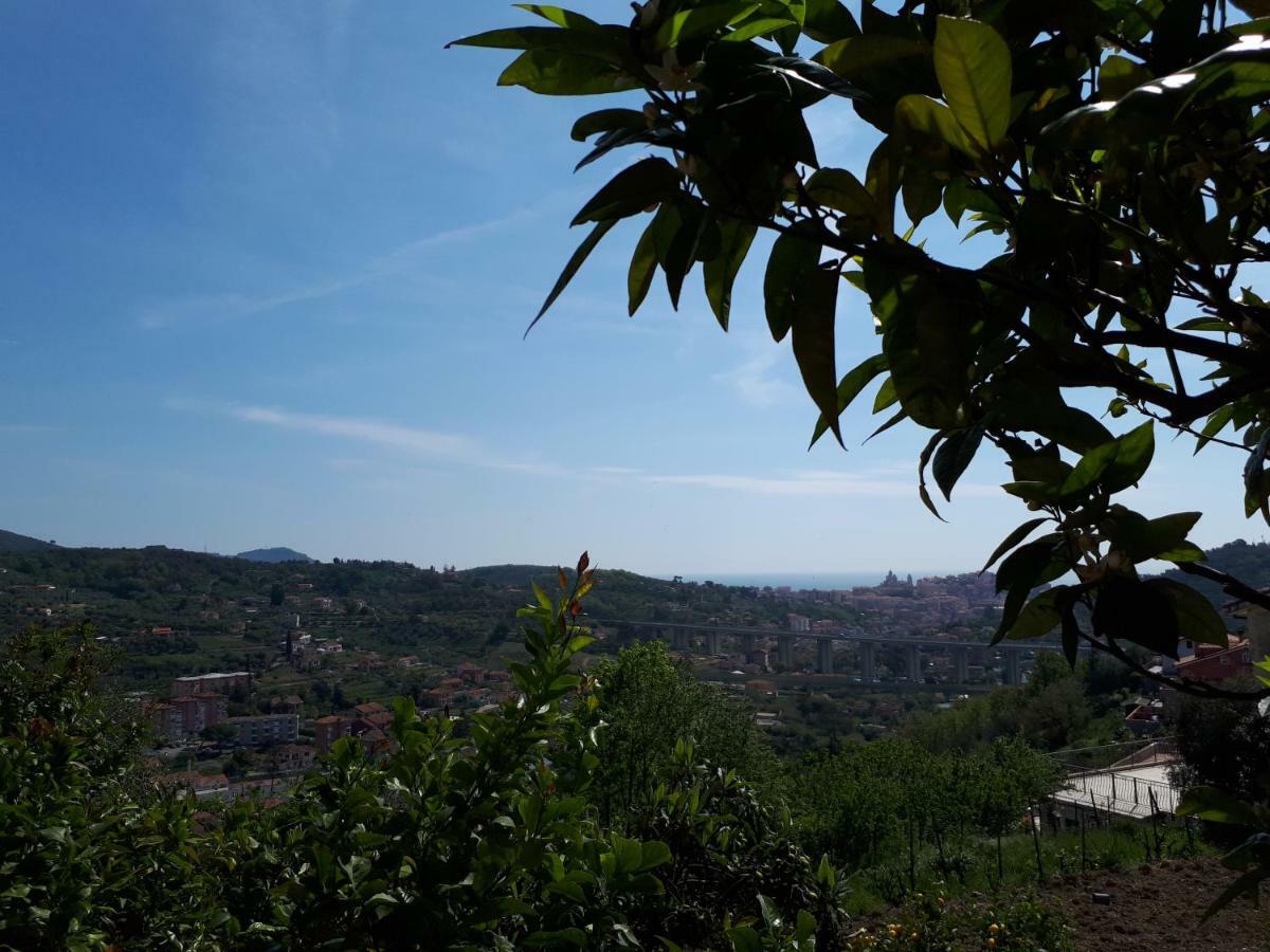 Azienda Agrituristica Villa Arianna إمبيريا المظهر الخارجي الصورة